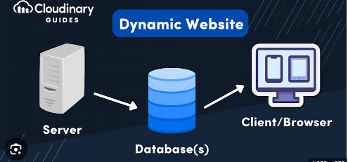 Dynamic Websites 